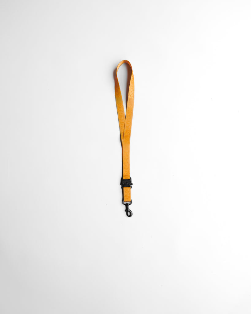 Lanyard