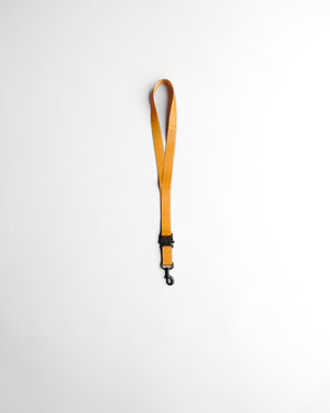 Lanyard